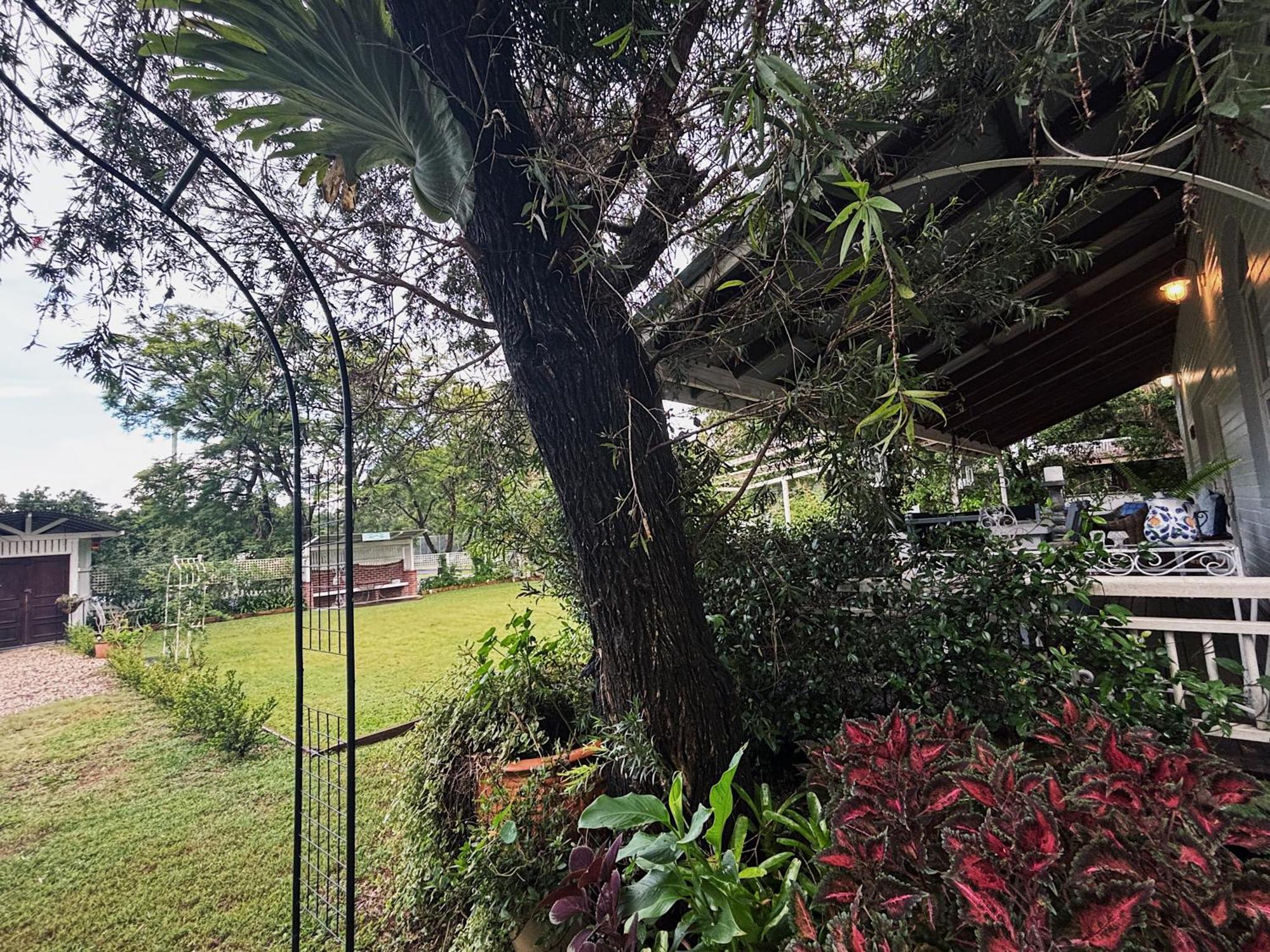 Celestial Dew Guesthouse In Tyalgum Exterior foto